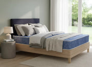 2026 Must‑Have Bed & Linen Picks: Fresh New Arrivals You’ll Love