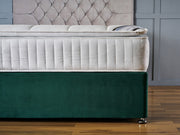 Optimum Ortho Pillow